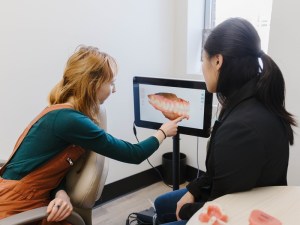A dental professional showing a patient a 3D digital scan of their teeth on a computer monitor. 